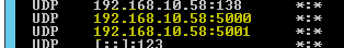 UDP netstat result