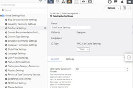 Screen shot showing the editorial interface for settings
