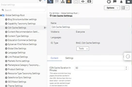 Screen shot showing the editorial interface for settings