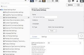 Screen shot showing the editorial interface for settings
