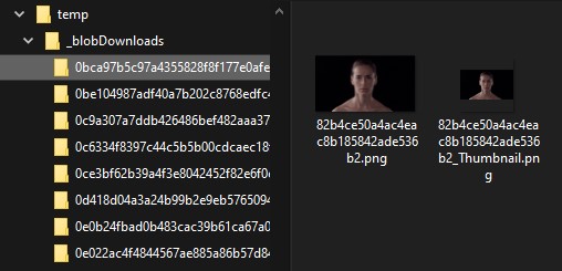FilesDownloadedBlobs.jpg