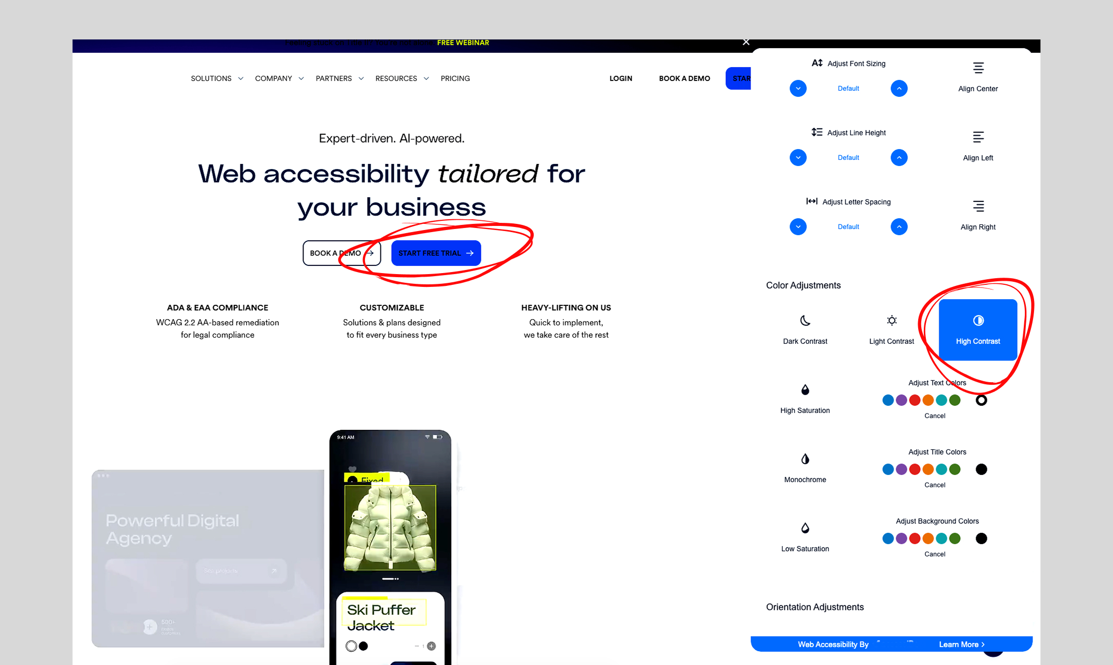 Example of an accessibility overlay on a website.