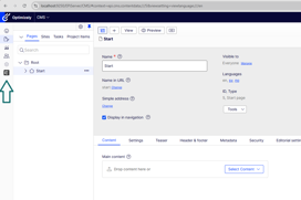 Screenshot of Optimizely CMS where the an icon in the left hand navigation has been changed.