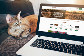  A cat lies next to a computer displaying Granngården's website