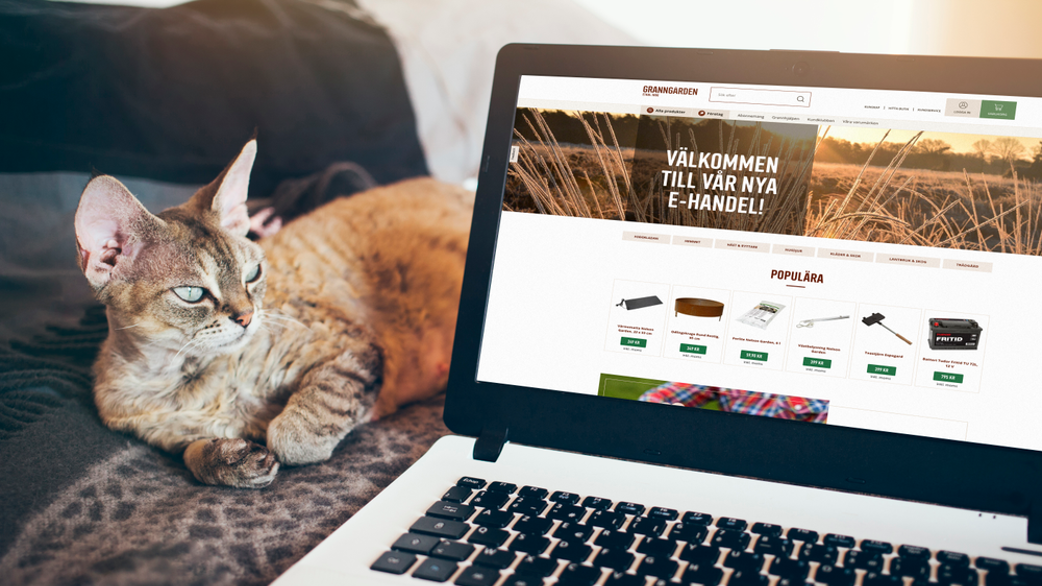Katt ligger bredvid dator som visar Granngårdens webbplats.
