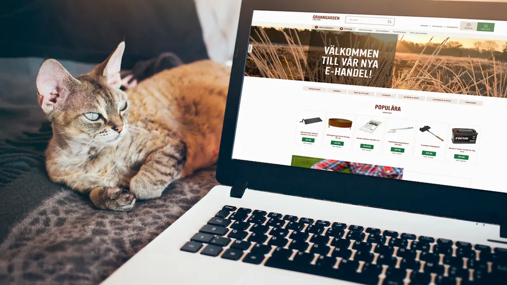  A cat lies next to a computer displaying Granngården's website