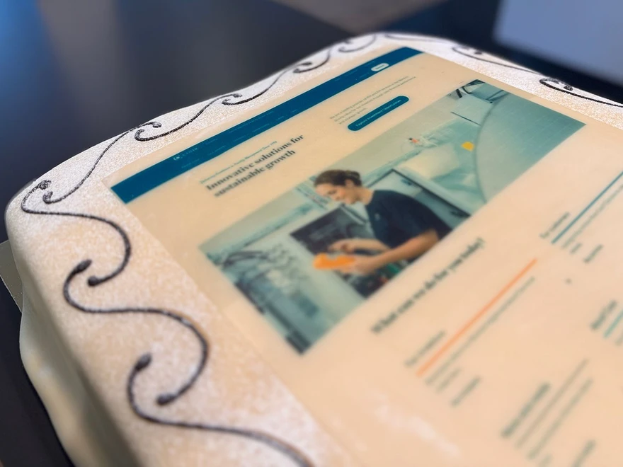 Launch cake with image of the website start page